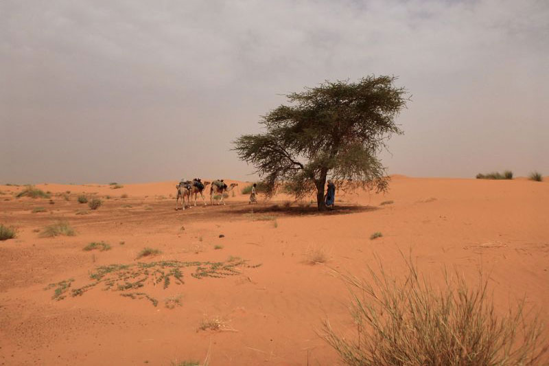 Mauritania